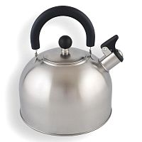 Чайник для плиты Катунь КТ-104, 3,2л., со свистком, матовая полировка