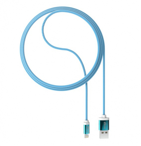 Кабель USB RITMIX RCC-321 Blue