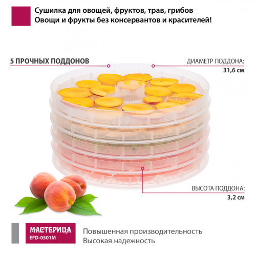 Сушилка для овощей и фруктов Мастерица EFD-0501M, 5 прозрачных поддонов, 125 Вт фото 3