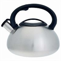 Чайник для плиты WEBBER BE-0587, 3л, нержавейка, со свистком,сатин(12)